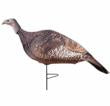 Primos Photoform Hen Turkey Decoy