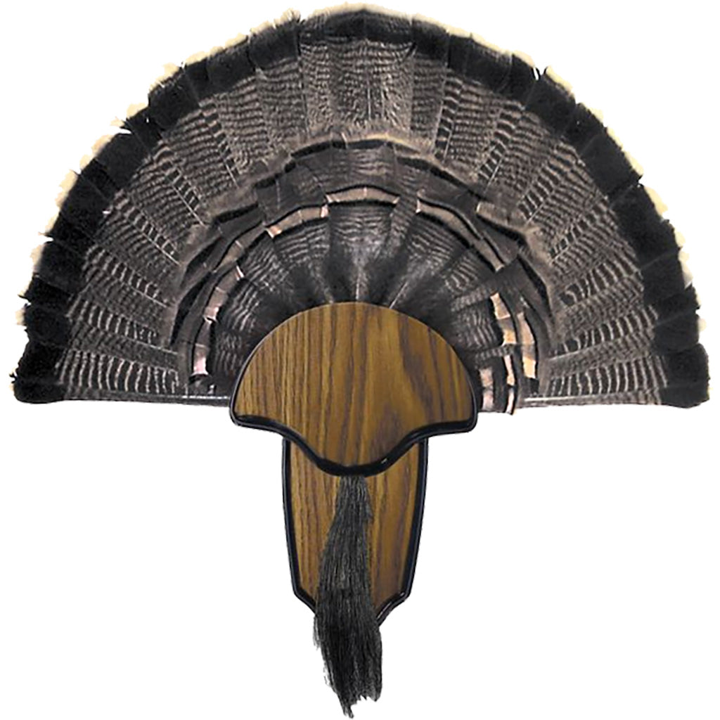 Hunters Specialties Turkey Mount Kit Tail & Beard