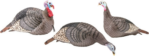 Hs Strut Turkey Decoy Flock - Strut-lite Hen/jake/feeder!