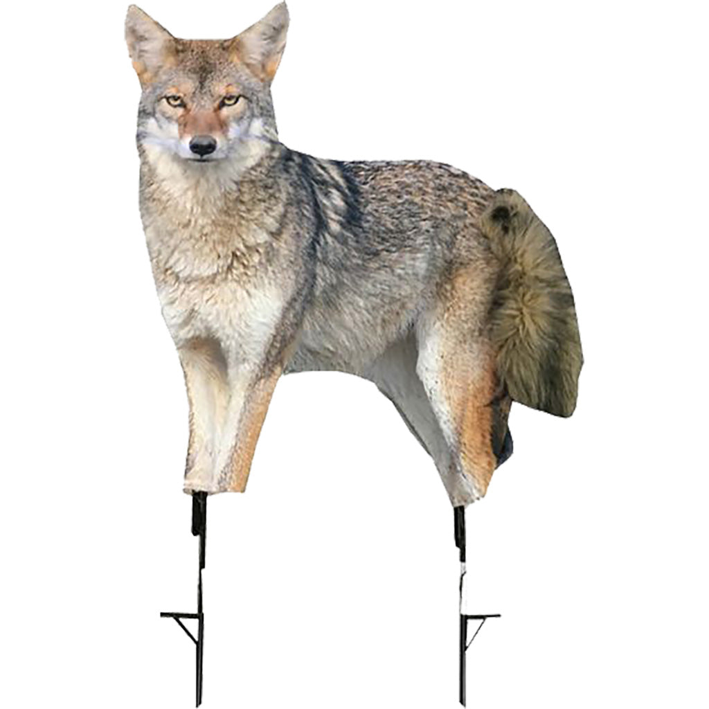 Montana Decoy Song Dog Coyote Decoy