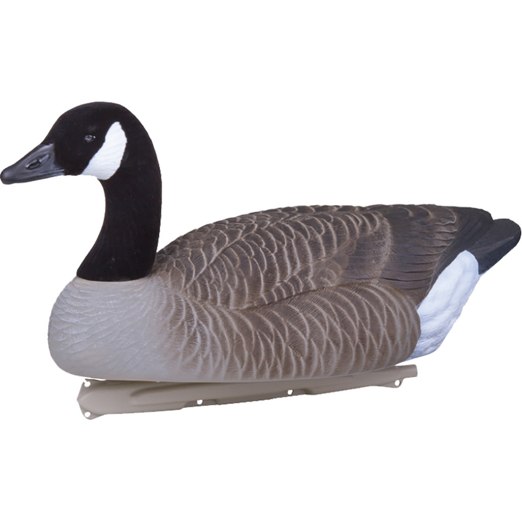 Flambeau Water Pack Canada Goose Decoy