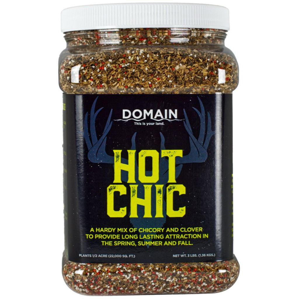 Domain Hot Chic Seed