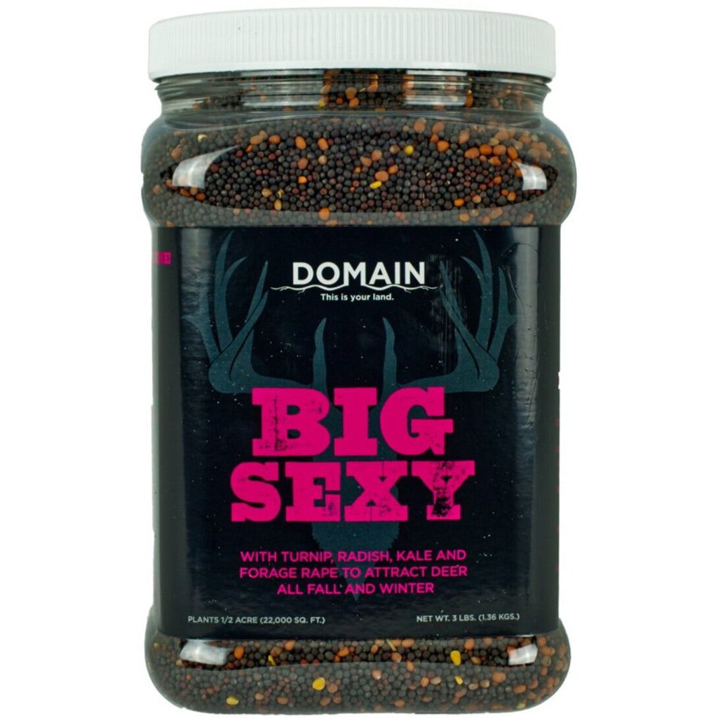 Domain Big Sexy Seed