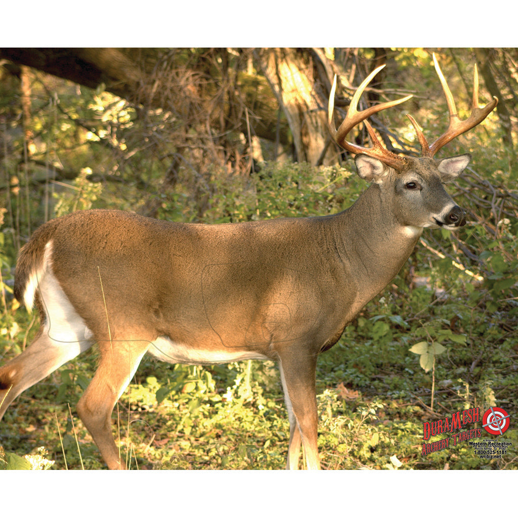 DuraMesh Archery Target