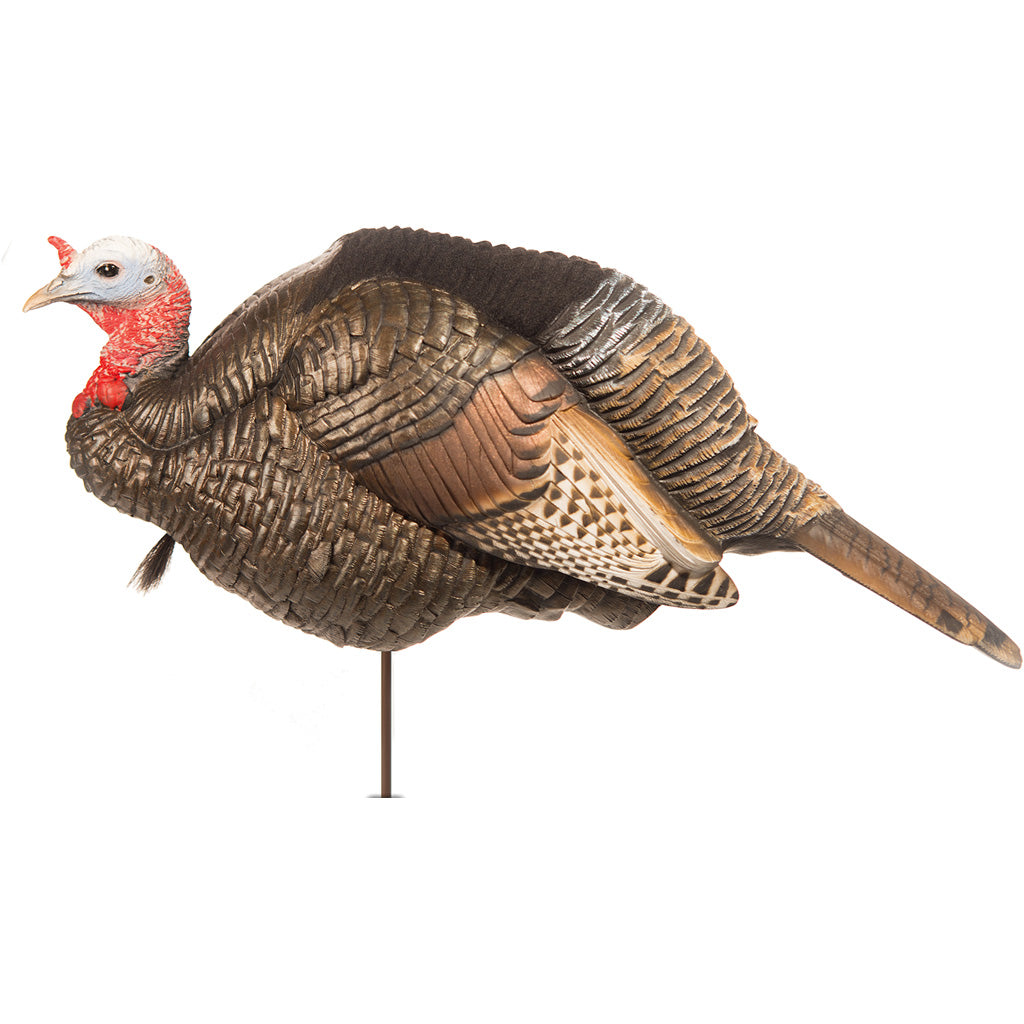 Dave Smith Decoys 3/4 Strut Jake Decoy