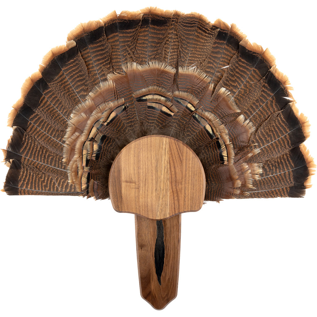 Walnut Hollow Turkey Mount Kit